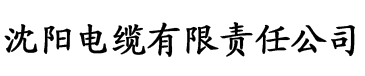 1024.香蕉视频电缆厂logo